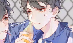 男漫画兄弟,兄弟情深，共绘青春风采